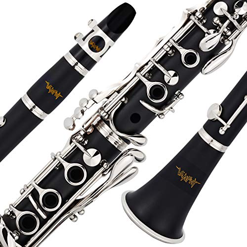 VANPHY BFlat Black Ebonite For Student Beginner