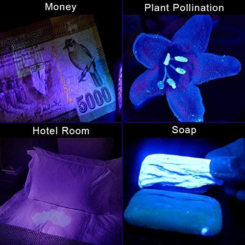 Escolite UV Flashlight Black Light Flashlight, 2pcack 12 LED 395 nM Ultraviolet Blacklight Flashlight Detector for Dog Urine, Pet Stains, Matching with Pet Odor Eliminator(Betteries not Include) - Thumbnail 6