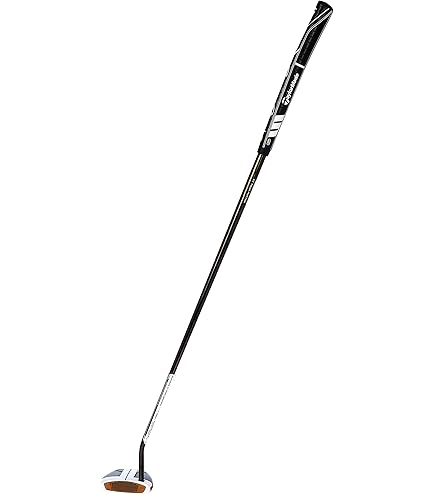 Amazon.com : TaylorMade Spider FCG Putter #7, Single Bend