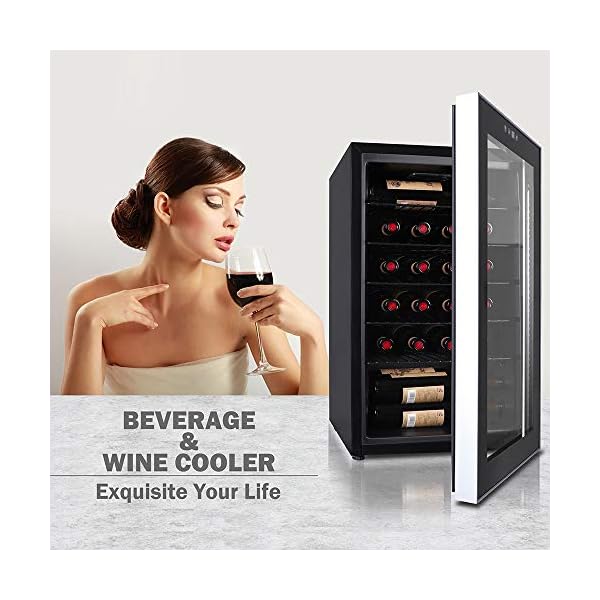 24-Bottles-Wine-Cooler-Compressor-Chiller-Cellar-Freestanding-Single-Zone-Fridge-for-Wines-Champagne-with-Digital-Temperature-Display-and-Double-layered-Glass-Door