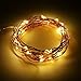 INST Micro LED 30 Lights Battery Operated on 5ft Long Copper Color String Wire (Warm White)