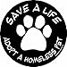 Imagine This 4-3/4-Inch by 4-3/4-Inch Car Magnet Social Issues Circle, Adopt a Homeless Pet, Black