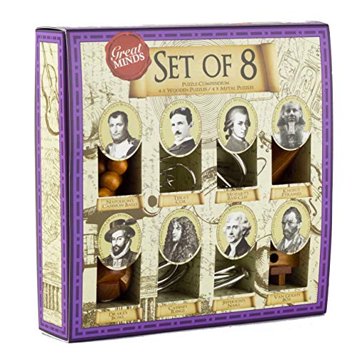 Great Brain Teaser Puzzle Set - 8 Piece - 4 X Wooden Brain Teaser Puzzle and 4 X Metal Entanglement Puzzles by Professor Puzzle