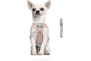 FEimaX Soft Mesh Dog Harness and Leash Set for Walking, No Pull Adjustable Reflective Puppy Step-in Vest Harness for Puppy Small Medium Dogs & Cats (M (Chest 13.7-15.7''/35-40CM), Plaid Pink)