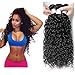 Perstar 8A Grade Uprocessed Brazilian Water Wave virgin hair 4 Bundles Remy Human Hair Natural Color (10 12 14 16, Natural Color)