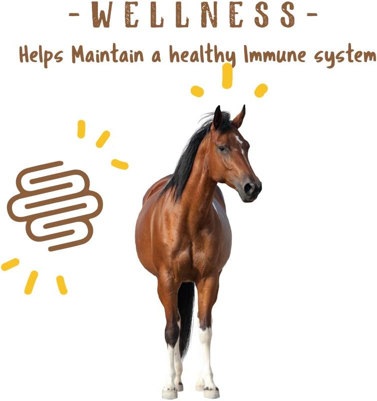 Manna Pro Simply Flax for Horses | Omega-3 Fatty Acids from Flaxseed | 8 Pounds : Horse Nutritional Supplements And Remedies : Pet Supplies