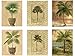 wallsthatspeak 6 Tropical Palm Tree Art Prints Beachy Feel Home Decor