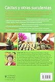 Image de Cactus y otras suculentas / Cactus and Other Succulents: Descripcion de mas de 120 especies: Guia paso a paso para obtener unos magnificos resultados