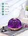 VicTsing Essential Oil Diffuser, 200ml 3D Effect Ultrasonic Aromatherapy Oil Humidifier with Starburst Fireworks Effect, 7-Color LED Lights, Waterless Auto-Off, Great for Home, Office, Bedroom-Brownthumb 3