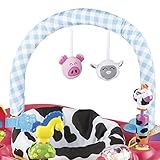 evenflo exersaucer bouncing barnyard saucer