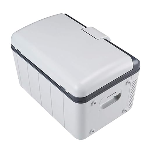 FISHD Mini refrigerador para Auto,Camping portátil de Viaje ...