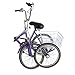 VANELL 20″ 7 Speed Tricycle Adult Trike Cruise Bike – Foldable 3 Wheeled Bicycle – with Large Size Basket Backrest Seat – for Women Men for Shopping Exercise Recreation (Purple, 20″)thumb 1