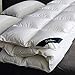 Globon Fusion White Goose Duvet Insert Queen Heavywarmth Winter, 50OZ, 650 Fill Power, 100% Cotton Shell, 300 Thread Count, Hypoallergenic with Corner Tabs, White