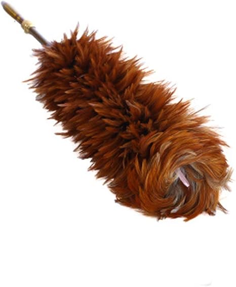 LUCKYFF Dehnbarer Staubwedel Duster mit Teleskop Holzgriff, Mikrofasern