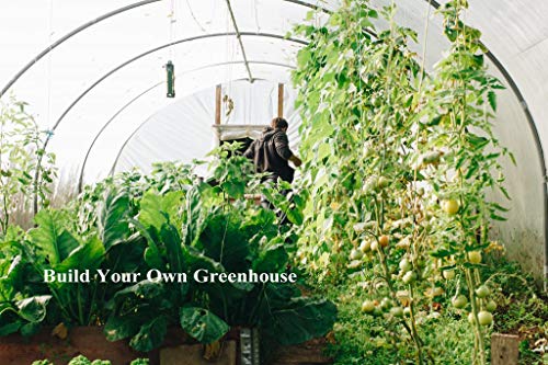 BeGrit 3M x 6M Wasserdichte Transparente Plane Wetterfeste Plane Transparente Strapazierfähige Vordächer und Planen für Gartenmöbel Pflanzen Gewächshaus Pet Hutch Dach