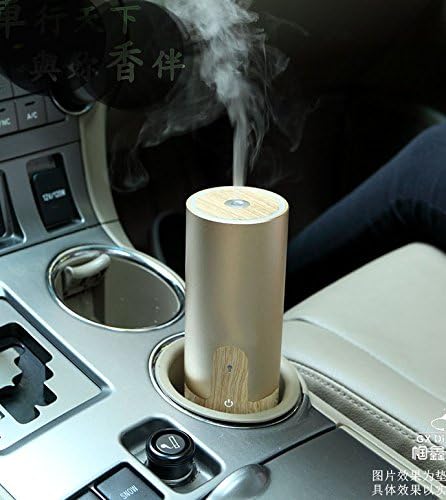 DAZU Aromatherapy Essential Oil Diffuser with Waterless Auto Shut-off Function for Car-(Wood Grain+Gold)