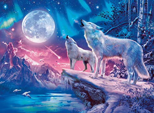 Wolf im Nordlicht – Bild 4