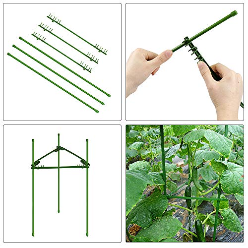 Yotako 3 Pack Metal Plant Support Stakes, 3 Pcs DIY Single Stem Plant Sticks, Plant Cage Support Rings, Garden Tomato Cage with 30 pcs Plant Clips for Plant Flower Growing - Thumbnail 4