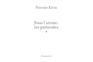 Sous l'atome, les particules (French Edition)