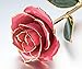 econoLED Long Stem Dipped 24k Gold Trim Red Rose in Gift Box,valentines Gifts for Couples, Cute Valentines Day Gift Ideas, Good Couple Gifts for Valentines, Romantic Anniversary Gifts(Pink)