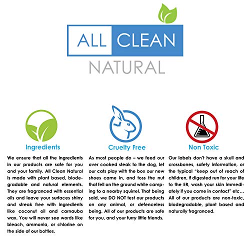 image for Fladora Naturally Clean Bathroom Cleaner, 17 oz, Disinfects, Shines & 
