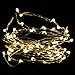 String Lights,Oak Leaf 60LEDs Led Fairy Starry Light Silver Wire Rope Lights 9.8ft for Bedroom Party Wedding Home DIY,Batteries Powered,Timer Function