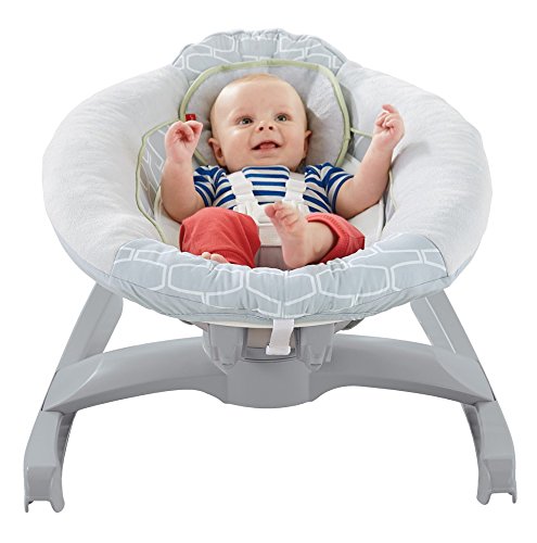 columpio fisher price smart connect