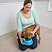 PetLike Dog Bowls Pet Food Bowls, No Spill Cat Food Bowl Water Food Feeder Pet Dishes for Cat Puppies Small Medium Dogs