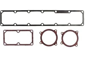 VICTOR REINZ MAHLE Original INTAKE MANIFOLD SET