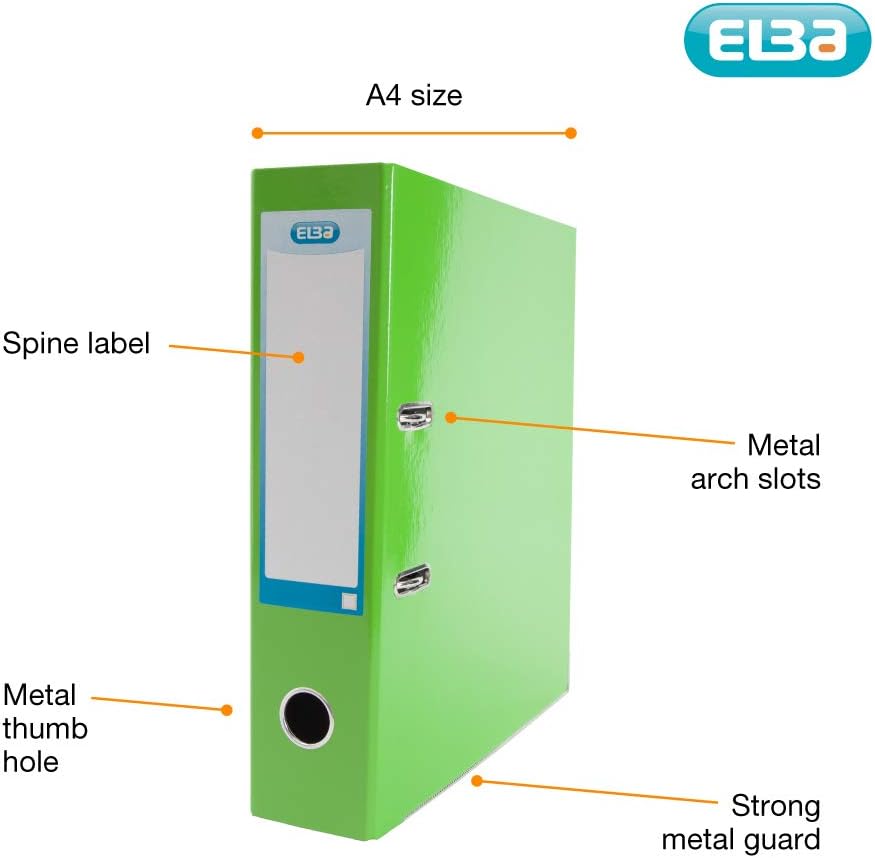 Hyomandibular arch take home essay 04 picture