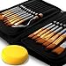 Artist Paint Brush Set - 16 Different Shapes & Sizes - Free Painting Knife & Watercolor Sponge - No Shed Bristles - Wood Handles - for Creative Body Paint, Acrylics & Oil