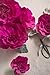Ling's moment Crepe Paper Flowers, 6 X Rose Handcrafted Flowers(8''-6'' Assorted), Paper Flower Decorations for Nursery Wall Display Wedding Anniversary Baby Shower