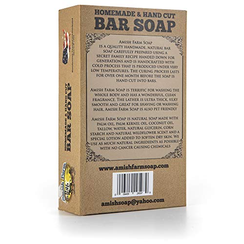 Amish Farms Handmade Bar Soap with Natural Ingredients | Cold Pressed | Carcinogen Free Large 10 oz Individually Boxed Bars + Luxurious Shower Loofah by BeautifulMe