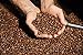 Stone Street Flavored Ground Coffee, Pumpkin Spice, Freshly Roasted, 100% Colombian Arabica, Gourmet Coffee, Holiday Flavor, Medium Roast, 1 LB