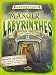 Le manoir aux labyrinthes by 
