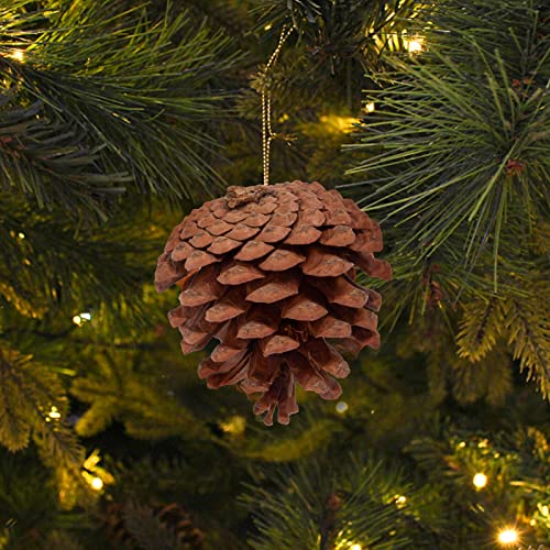 JOHOUSE 50PCS Natural Pinecone Ornaments, Pine Cones Bulk Natural Pinecones Assortment for Fall Winter Christmas Bowl Fillers