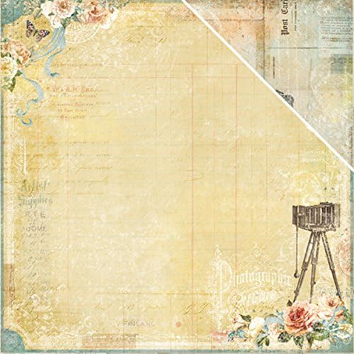 Blue Fern Memories Double-Sided Cardstock 12"X12"-Photographic Record - Case Pack of 20