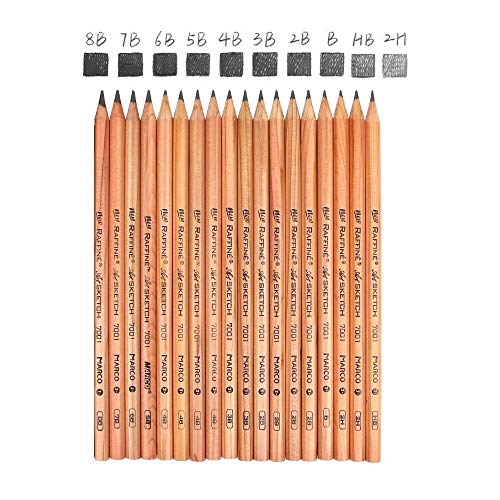 Aookey Sketching Pencils Art Set, Drawing Pencils Art Supplies with Graphite/Charcoal Pencils Blenders Starter Kit, Black