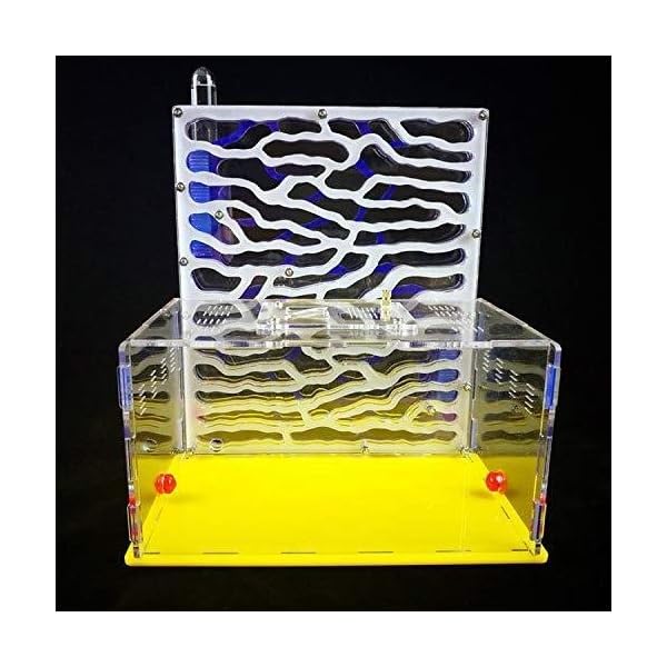 8bayfa Big T-Shape Formicaio Educactional Dispositivo Giocattolo Twin Towers Assemblaggio Facile da installare con… 8bayfa 8bayfa Big T-Shape Formicaio Educactional Dispositivo Giocattolo Twin Towers Assemblaggio Facile da installare con…