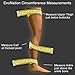 EvoNation Women's USA Made Thigh High Graduated Compression Stockings, 20-30 mmHg – Firm Pressure Sheer Socks, Lace Top Support Hose