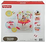 pink petals jumperoo