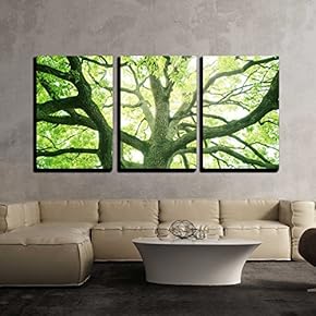 3 Piece Canvas Wall Art - Big Tree in a Forest. Fresh Green and Ecology - Modern Home Art Stretched and Framed Ready to Hang - 16"x24"x3 Panels