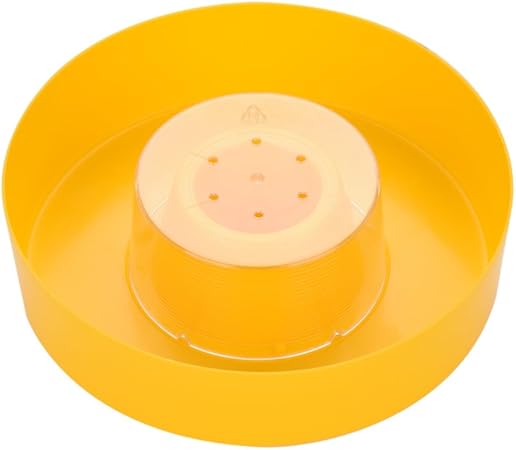 Amazon Com Delaman Bee Feeder Plastic Rapid Bee Water Feeder