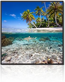 Chenxi Global Oil Painting Canvas Material Sea View Pattern Wall Art Prints for Living Room Home Decoration (20x20inchx1pcs)