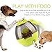 Wellood Dog Treat Dispenser Ball Toy, Interactive Treat-Dispensing Ball for Dogs & Cats: Increases IQ & Mental Stimulation, Tumbler Design Slow Feeder Easy to Clean Green