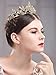 Aukmla Vintage Crown Baroque Gold Tiara Wedding Bridal Hair Accessories Headband for Women and Girls