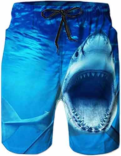 dxl swim trunks