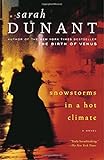 Snowstorms in a Hot Climate: A Novel
