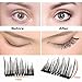 Magnetic False Eyelashes (8 PCS) Newest Design Dual Magnetic Eyelash Extensions 3D Reusable Fake Lashes For Women Makeup, No Glue, Natural Look (2-8x)