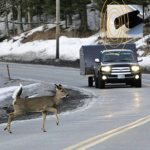 6 Seven+Sparta+Whistles+Warning+Motorcycles